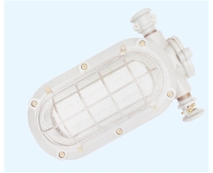 贵州矿用隔爆型LED支架灯